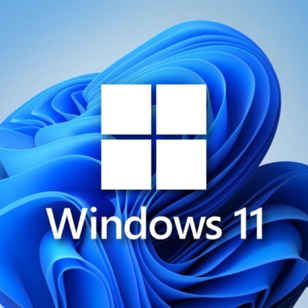 Windows 11 Pro OEM Key